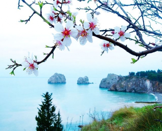 Майские праздники в Крыму 2024