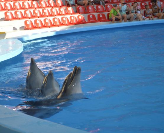 Что посмотреть в Алуште в Крыму