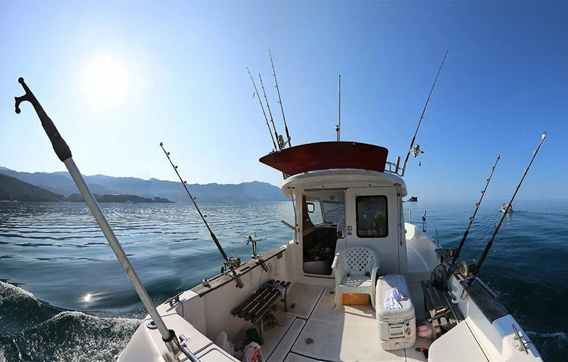 Фото №1 Экскурсии в Алуште - Миндалина Роща, Крым