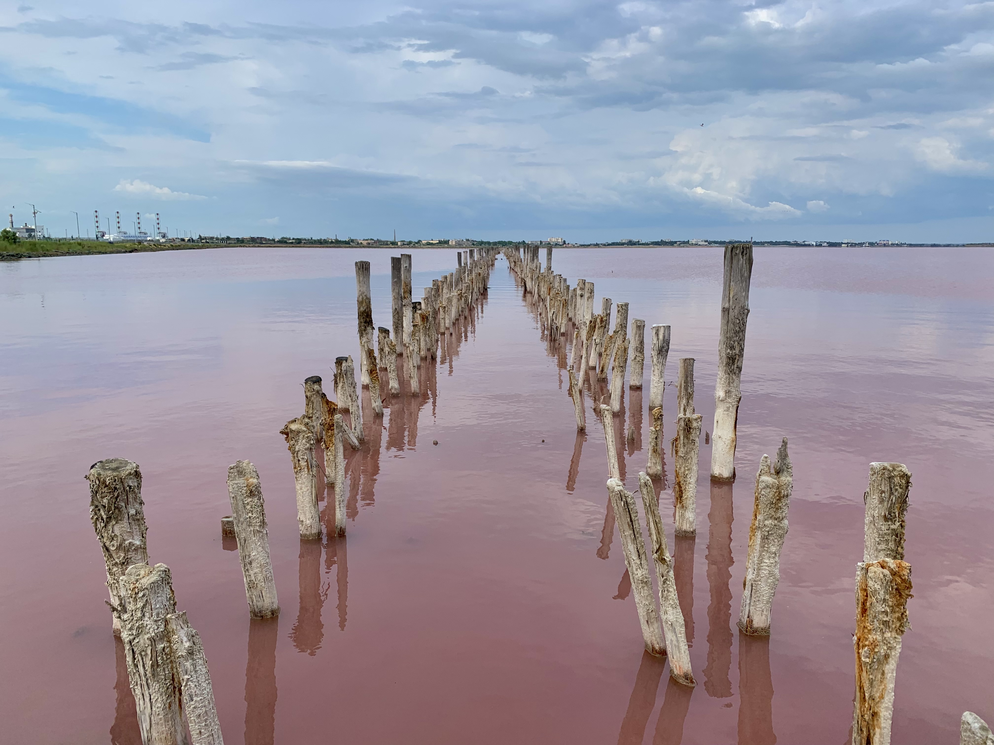Розовое озеро в Крыму находится в Саки